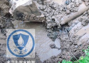西工区水管漏水检测公司5